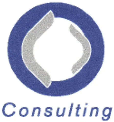 CONSULTING
