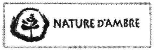 NATURE D'AMBRE
