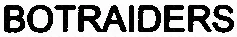 BOTRAIDERS