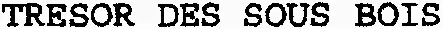 TRESOR DES SOUS BOIS