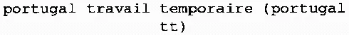 portugal travail temporaire (portugal tt)