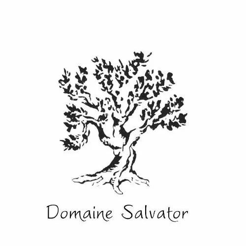 DOMAINE SALVATOR