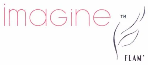 imagineFLAM'