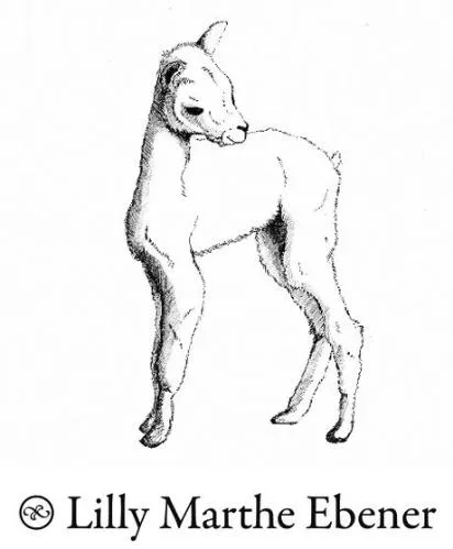 Lilly Marthe Ebener