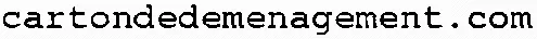cartondedemenagement.com