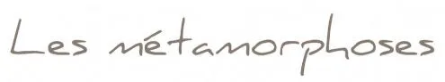 LES METAMORPHOSES