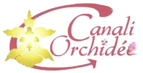 Canali Orchidée