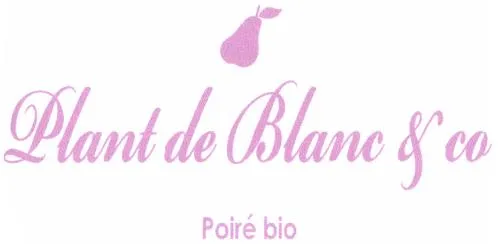 Plant de Blanc & co Poiré bio