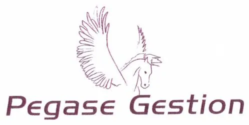 Pegase Gestion