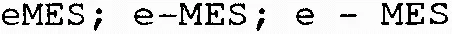 eMES ; e-MES ; e – MES