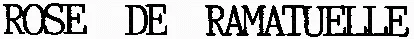 ROSE DE RAMATUELLE