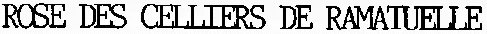 ROSE DES CELLIERS DE RAMATUELLE