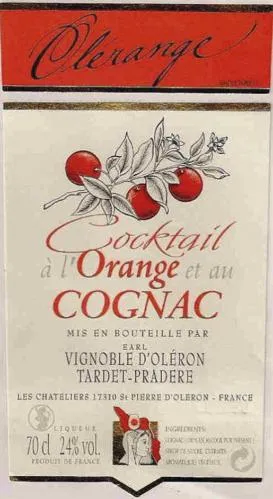 OLERANGE COCKTAIL A L ORANGE ET AU COGNAC