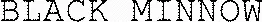 BLACK MINNOW