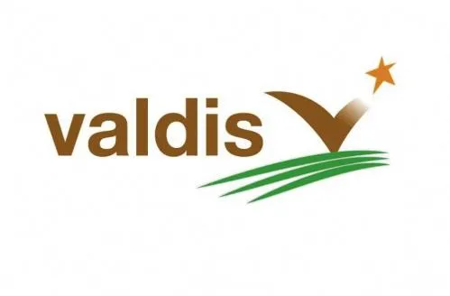 VALDIS