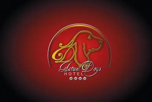 ACTUEL DOGS HOTEL