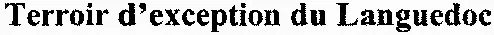Terroir d'exception du Languedoc
