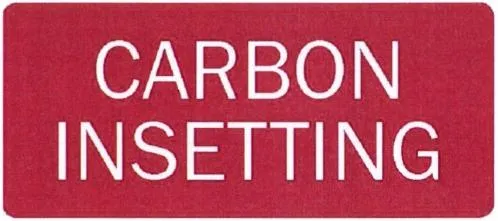 CARBON INSETTING