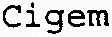 Cigem