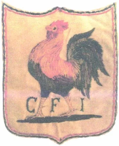 CFI