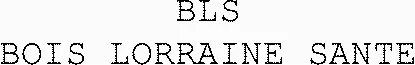 BLS BOIS LORRAINE SANTE