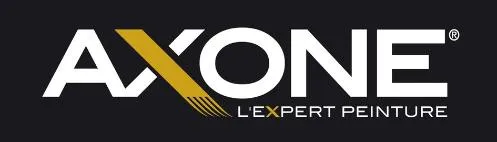 AXONE L EXPERT PEINTURE