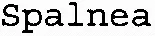 Spalnea