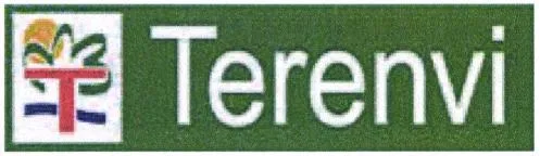 Terenvi