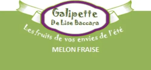 GALIPETTE DE LISE BACCARA LES FRUITS DE VOS ENVIES DE L ETE MELON FRAISE