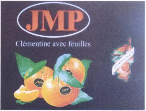 Clémentine avec feuilles