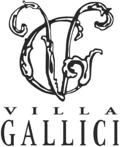V G VILLA GALLICI