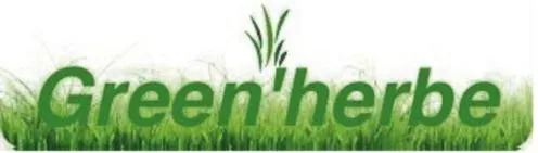 GREEN HERBE