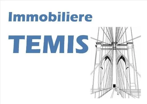 IMMOBILIERE TEMIS