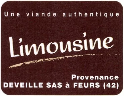 Limousine Provenance DEVEILLE SAS à FEURS (42)