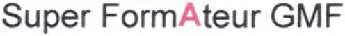 SUPER FORMATEUR GMF