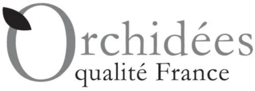 ORCHIDEES QUALITE FRANCE