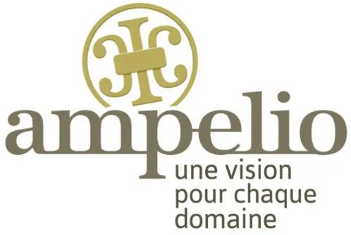 AMPELIO UNE VISION POUR CHAQUE DOMAINE