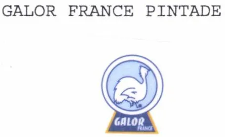 GALOR FRANCE PINTADE GALOR FRANCE