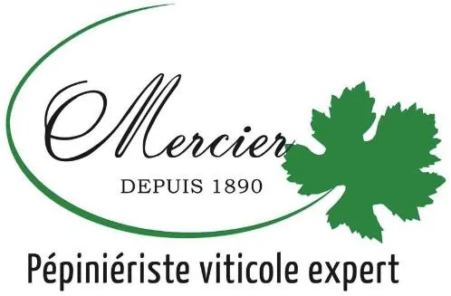MERCIER DEPUIS 1890 PEPINIERISTE VITICOLE EXPERT