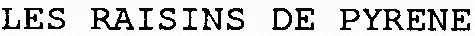 LES RAISINS DE PYRENE