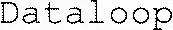 Dataloop