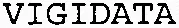VIGIDATA