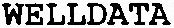 WELLDATA