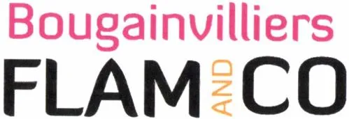 BOUGAINVILLIERS FLAM AND CO