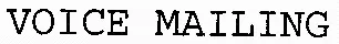 VOICE MAILING