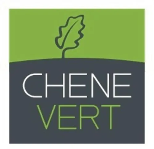CHENE VERT