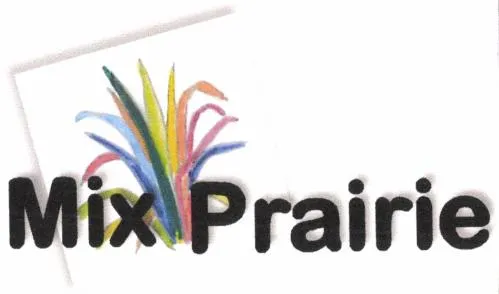MIX PRAIRIE