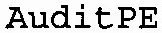 AuditPE