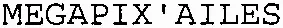 MEGAPIX'AILES