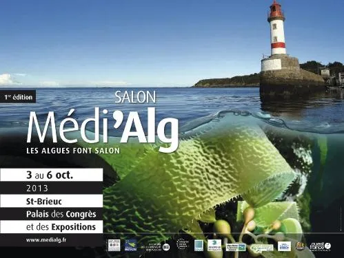 SALON MEDI ALG LES AGUES FONT SALON